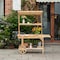 Vintiquewise Solid Wood Decor Display Rack Cart Wood Plant Stands, 2 Wheeled Wood Wagon with Shelves QI004293 - alternate 4
